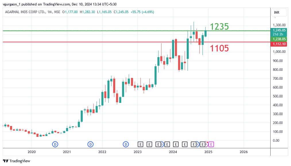 Ashish Kacholia Portfolio