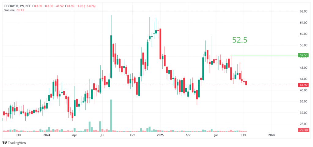 Fiberweb (India) Ltd. Share Price Analysis