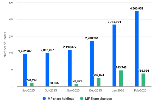undervalued small cap stocks India