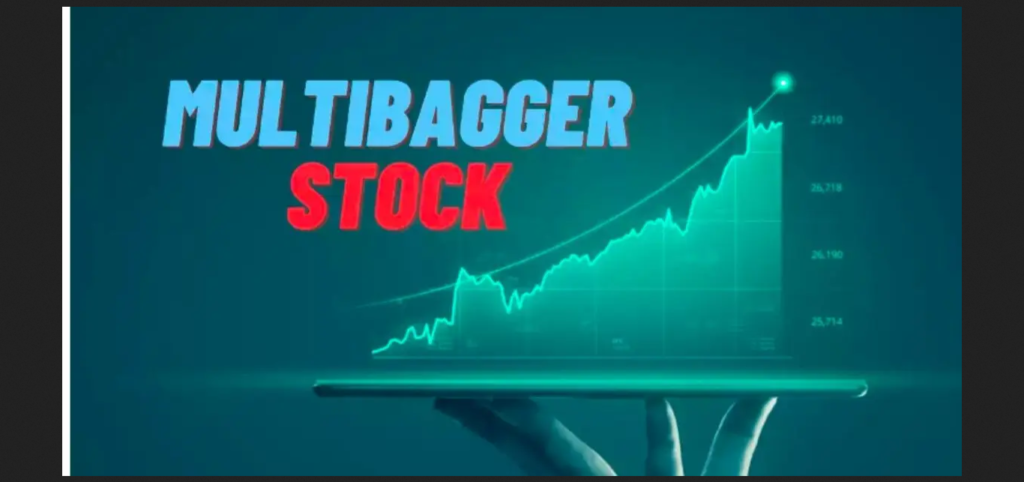 Vijay Kedia Portfolio